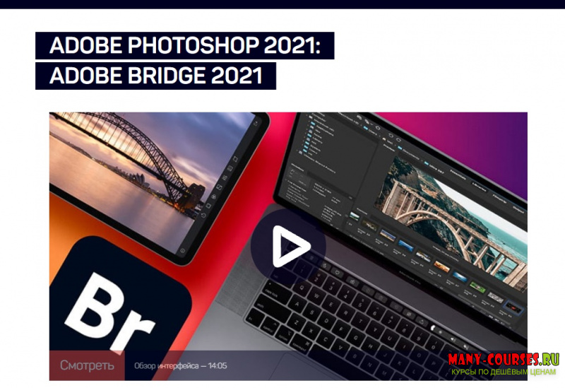 Андрей Журавлев - Adobe Photoshop 2021: Adobe Bridge