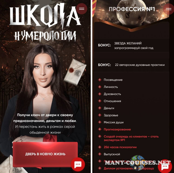 Кристина Егиазарова - Школа нумерологии 11.0. Тариф Профессия