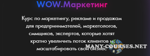 Анастасия Полянская - WOW.Маркетинг. Тариф Pro