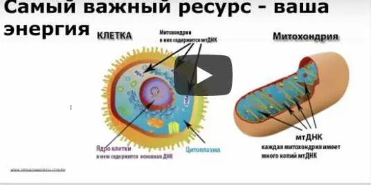 Надя Андреева - Возвращение легкости